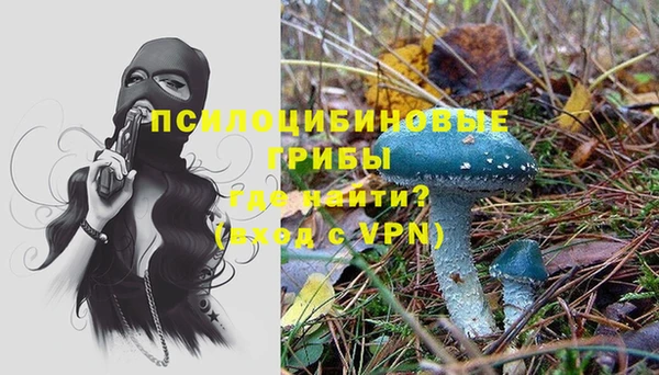 мяу мяу мука Алексин